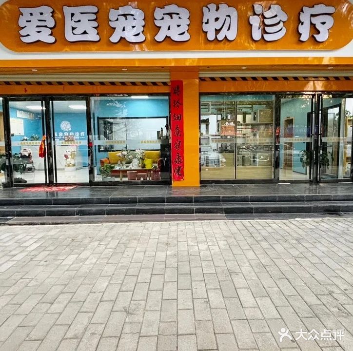 爱医宠宠物诊疗