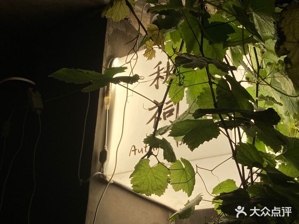 秋祠Autumn Bar
