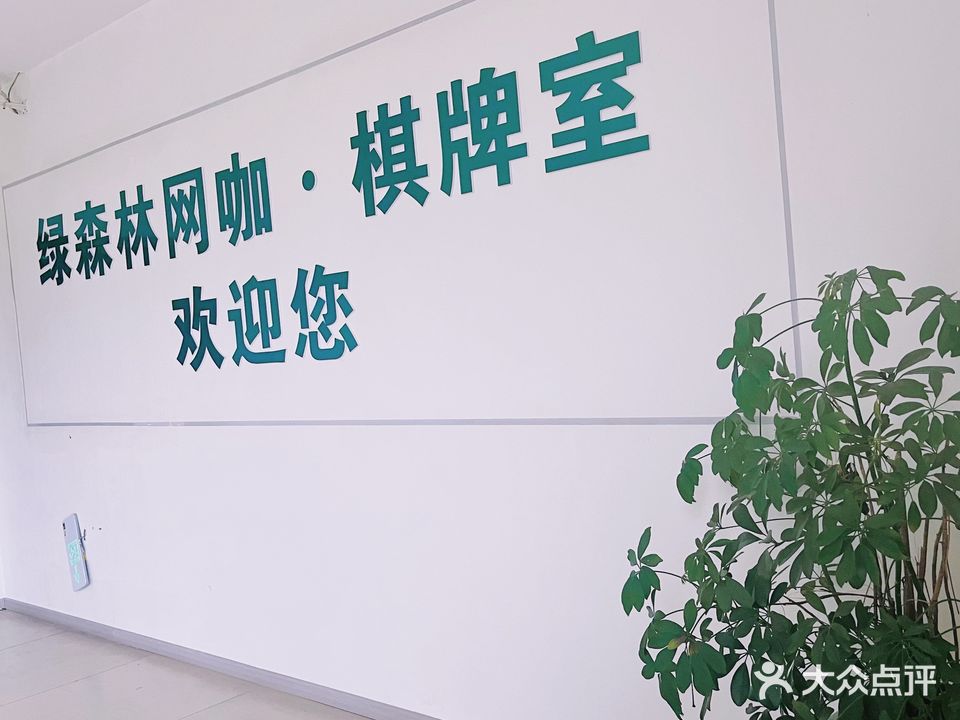 绿森林网咖·棋牌室