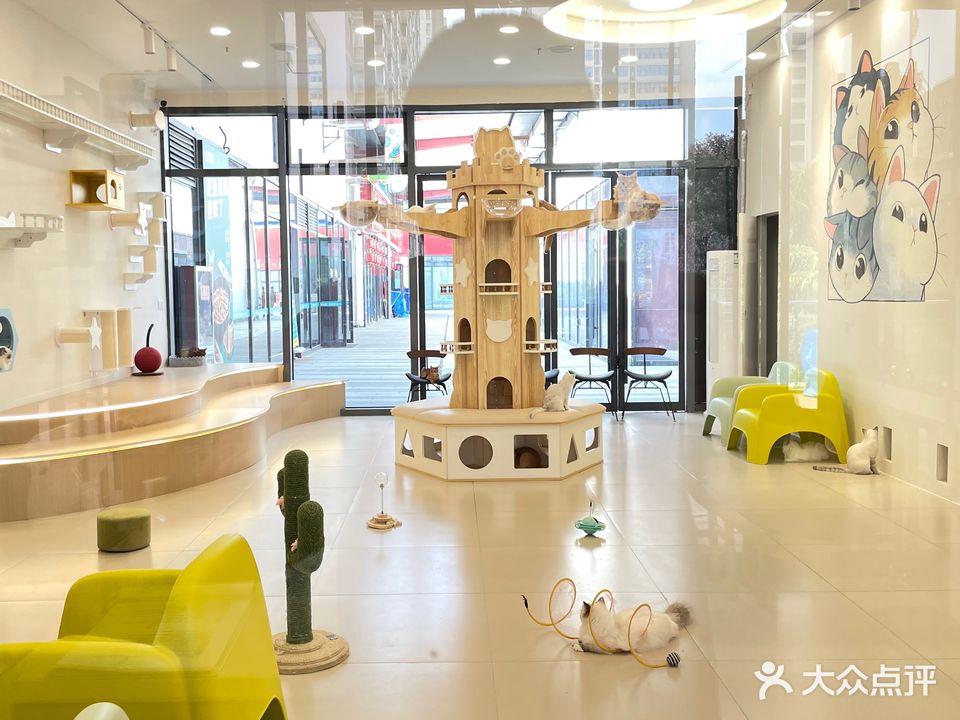 光影猫咖(唐潮城店)