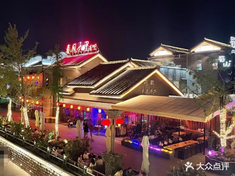 春风九里酒吧(海河天街店)