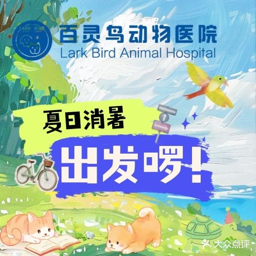 百灵鸟动物医院·犬猫专科·心脏超声
