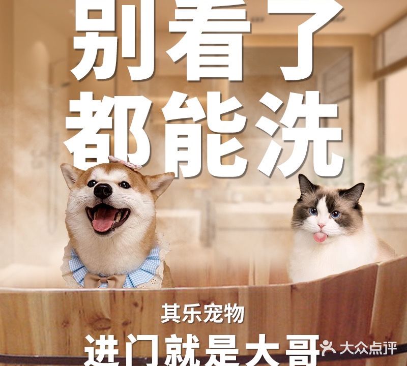 其乐宠物(人民路店)
