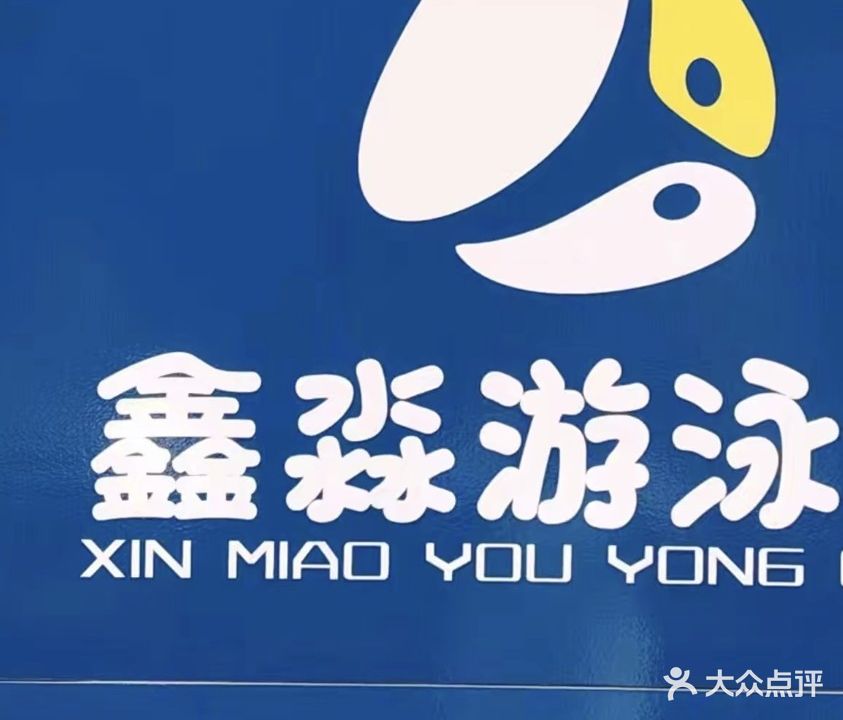 鑫淼游泳