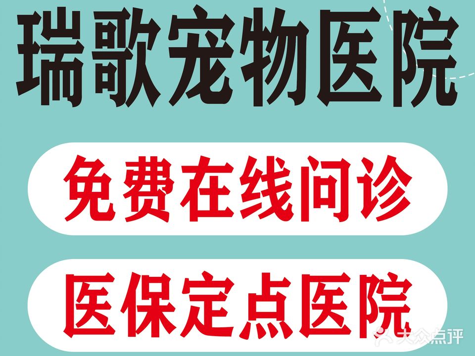 瑞歌宠物医院·猫专科·犬专科·骨科中心(江门总院)