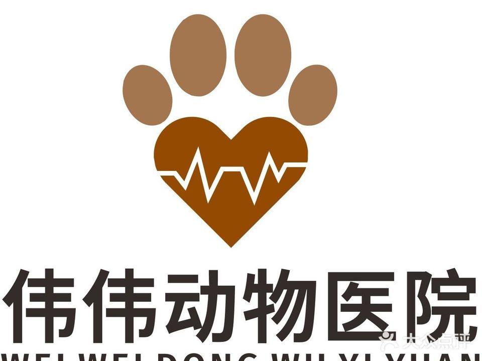 伟伟动物医院