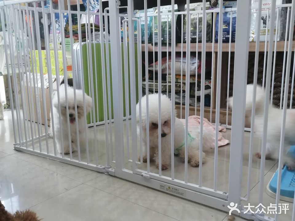 犬犬屋