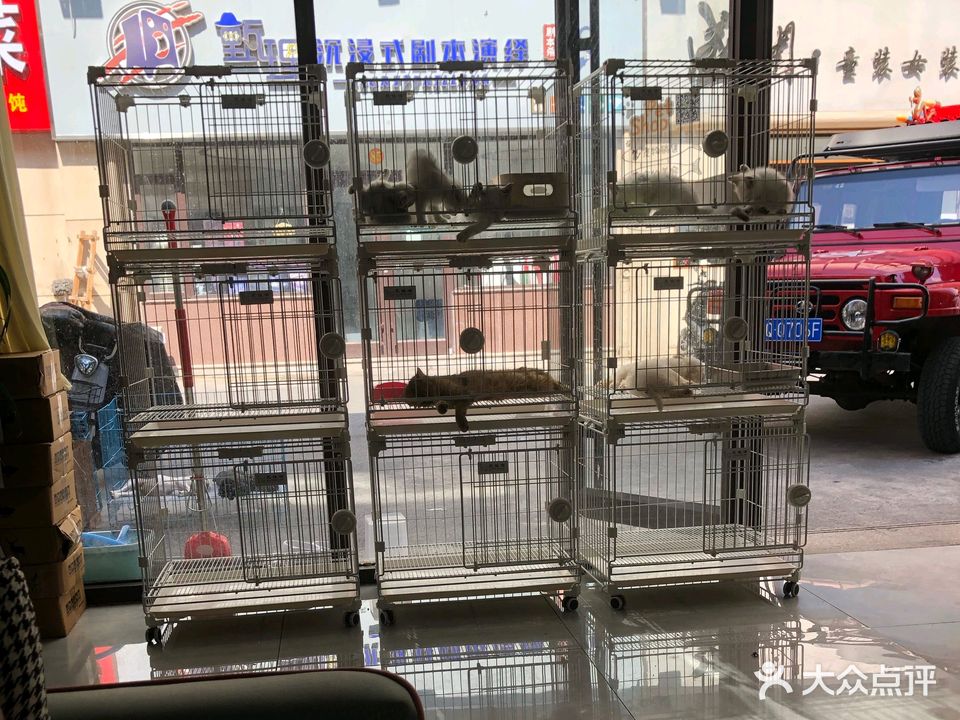小怪兽宠物活体仓