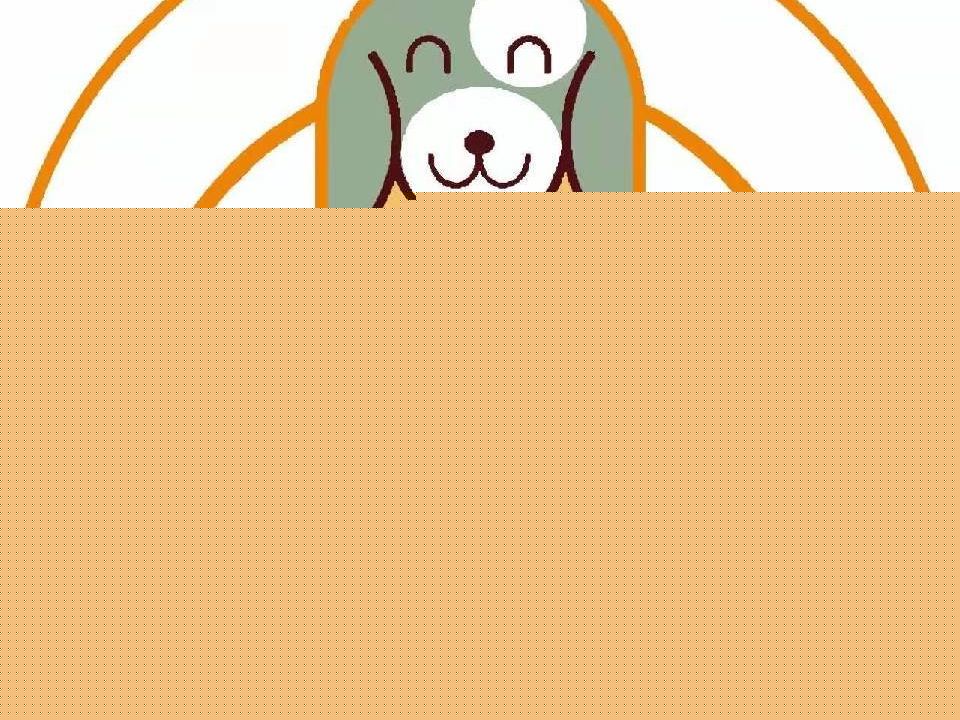 遇见·爱宠宠物店(嘉福文华苑店)