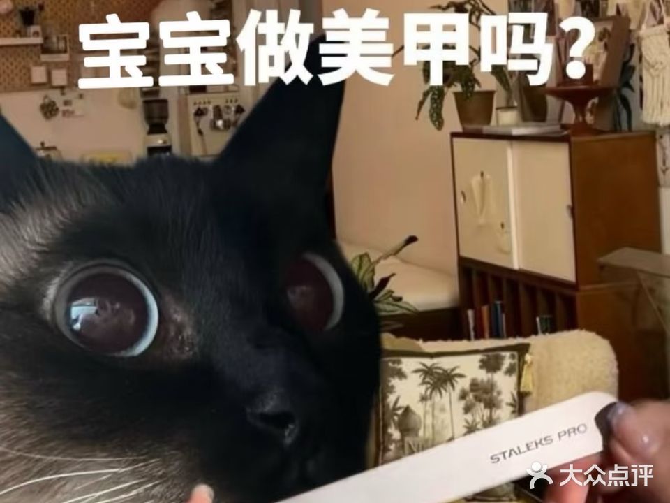 贰拾贰Nail