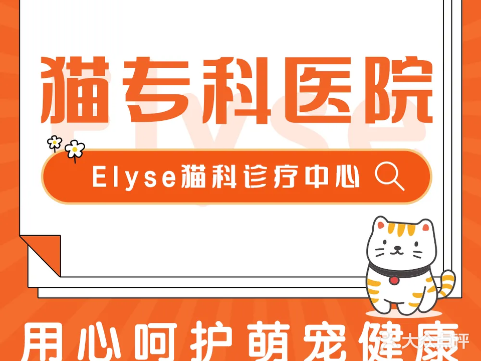 Elyse猫科诊疗中心