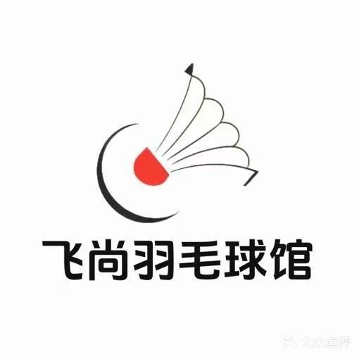 飞尚羽毛球
