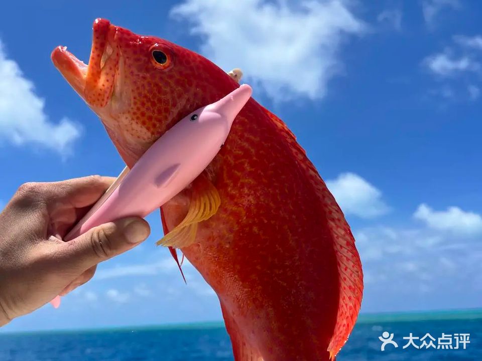 三亚星之途海钓游艇俱乐部