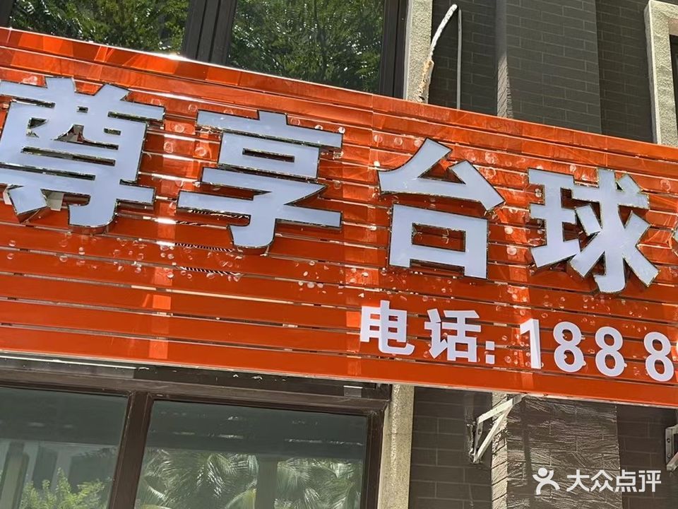 尊享台球