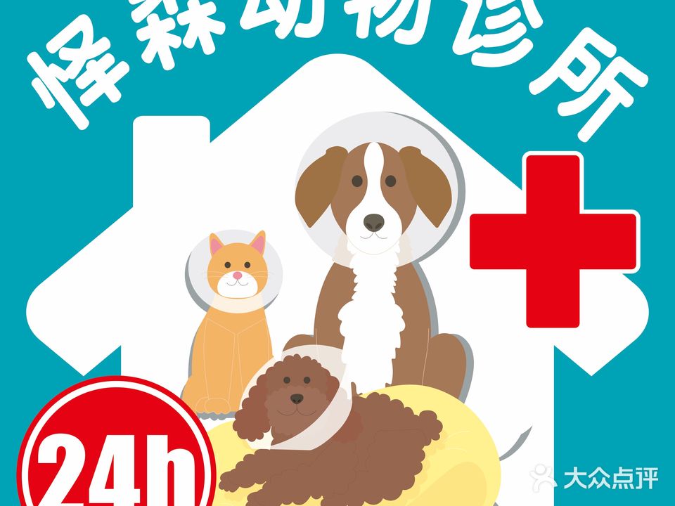 怿森动物诊所(大明上城店)