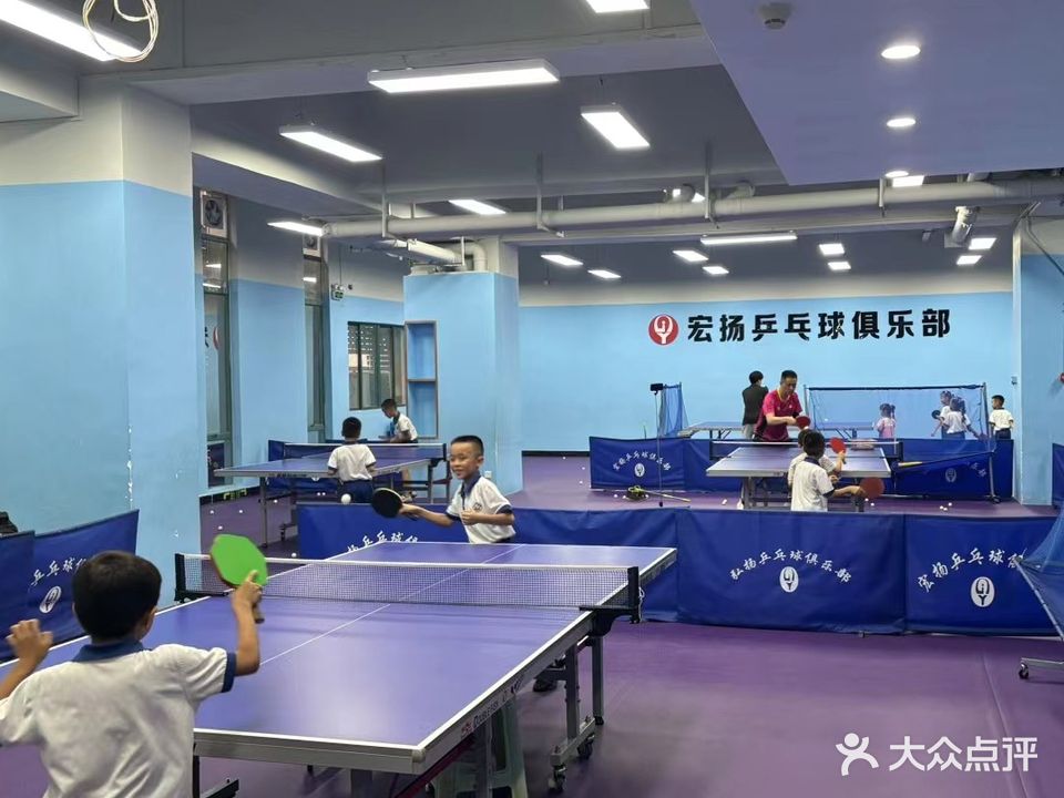 宏扬乒乓球俱乐部(怡廷店)