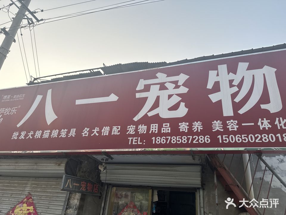 八一宠物