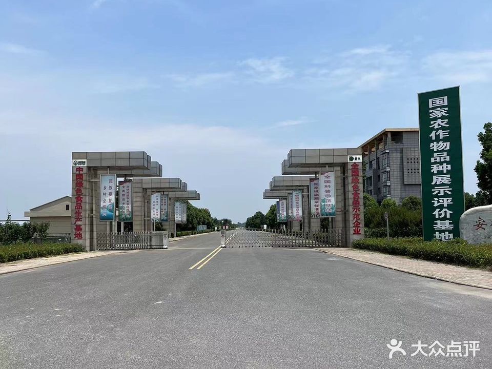 皖润葡萄釆摘观光园