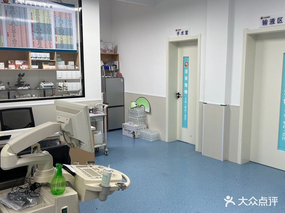 贝贝宠物诊所(勉县店)