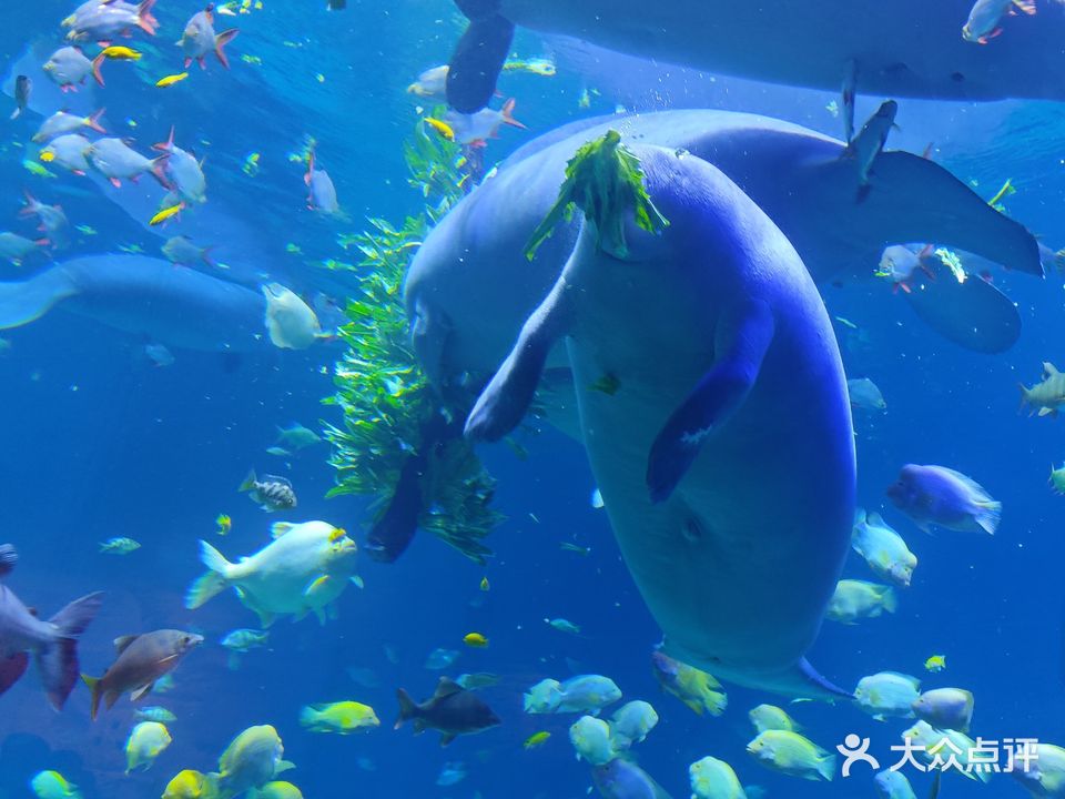 呼和浩特市游泳馆体育馆