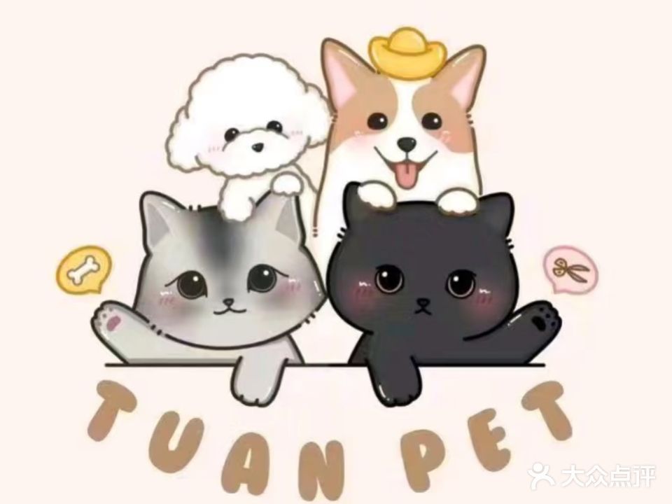 宠物e家(丁头坡路店)