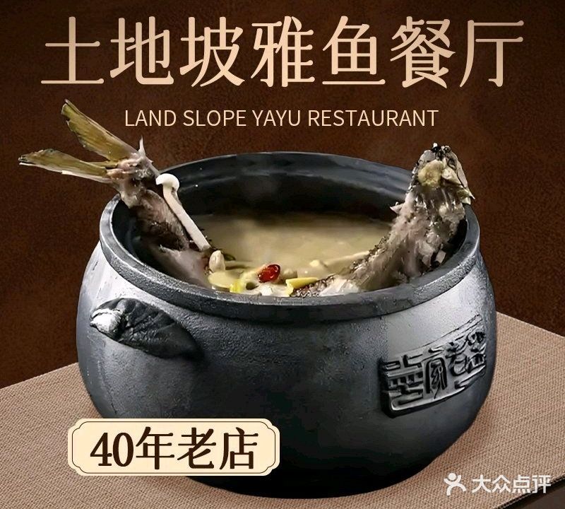 邛崃土地坡雅鱼(雅安名店)