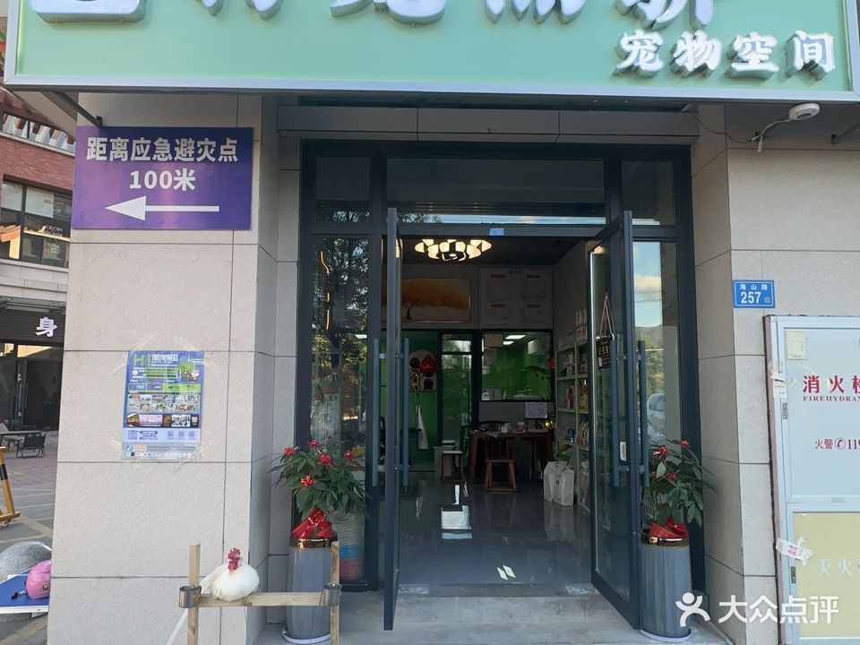 恃宠而骄(宠物店)
