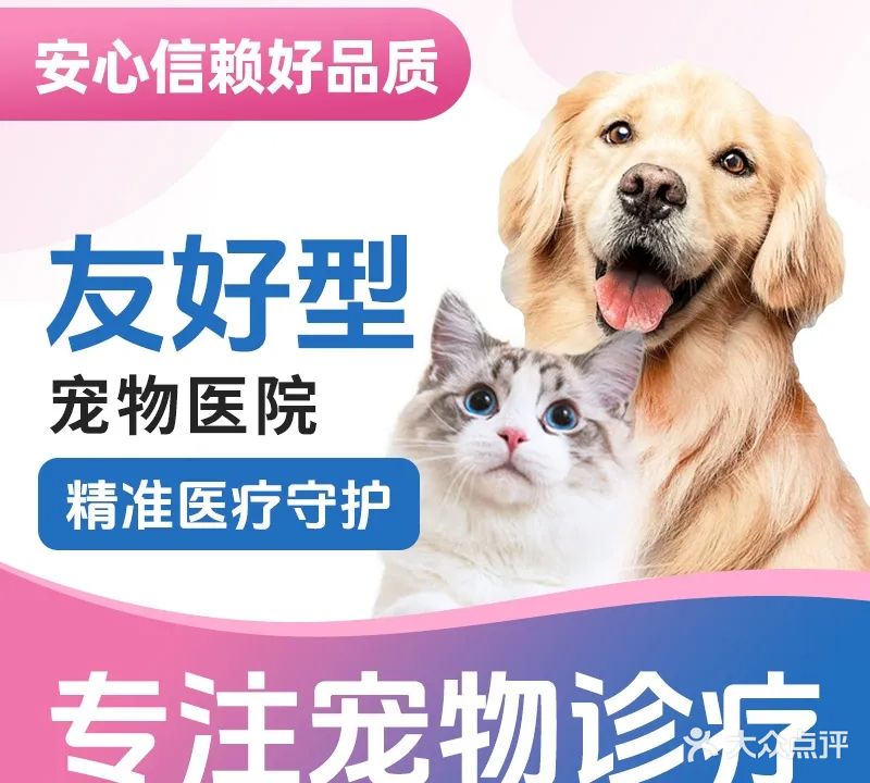 宠界动物医院