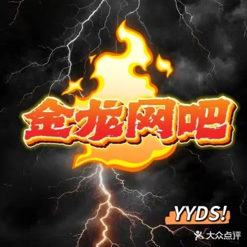 金龙网吧(东康街店)