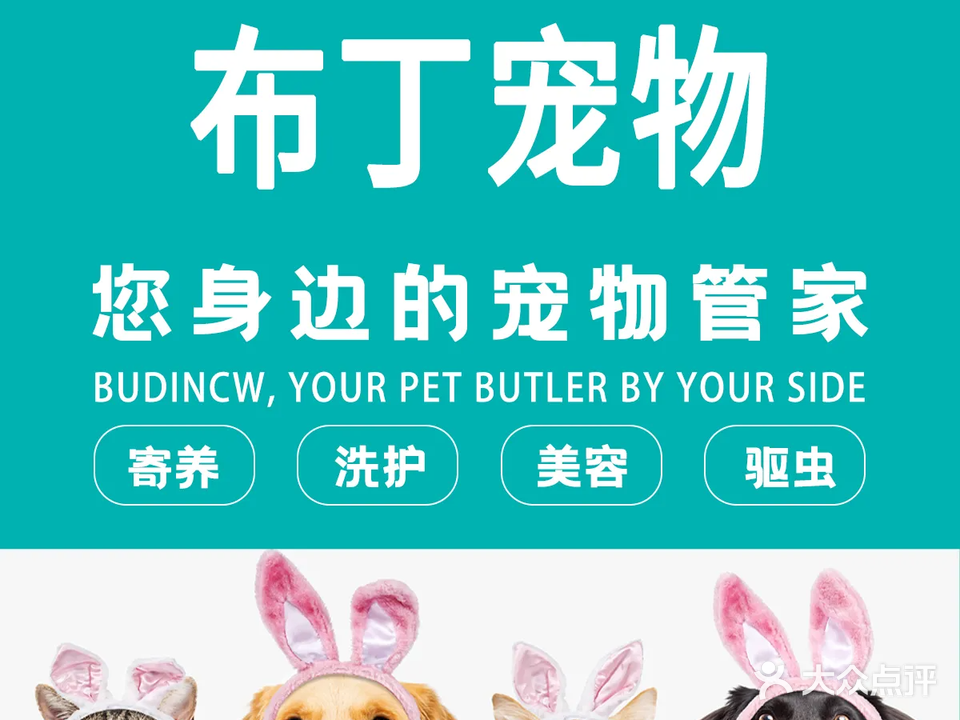 布丁宠物·寄养洗护(鸿福豪庭·爱琴海购物公园茂南大道店)
