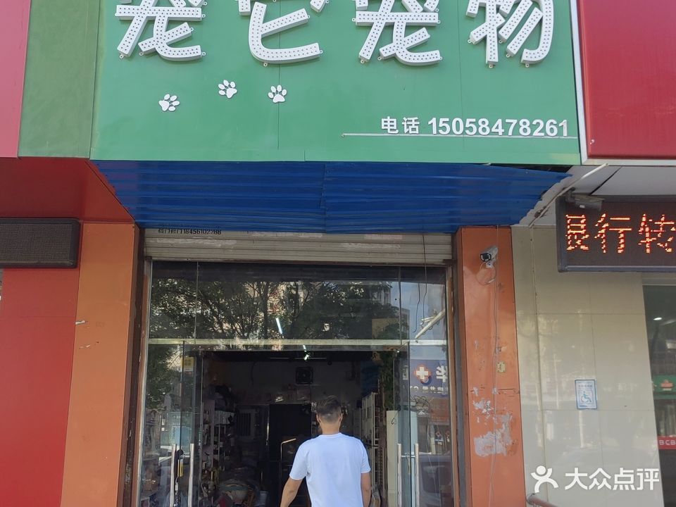 宠它宠物(水清木华店)