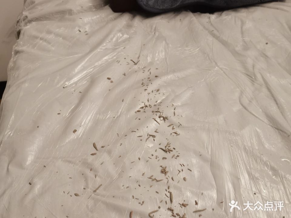 悦耳阁泡澡搓澡(市桥店)