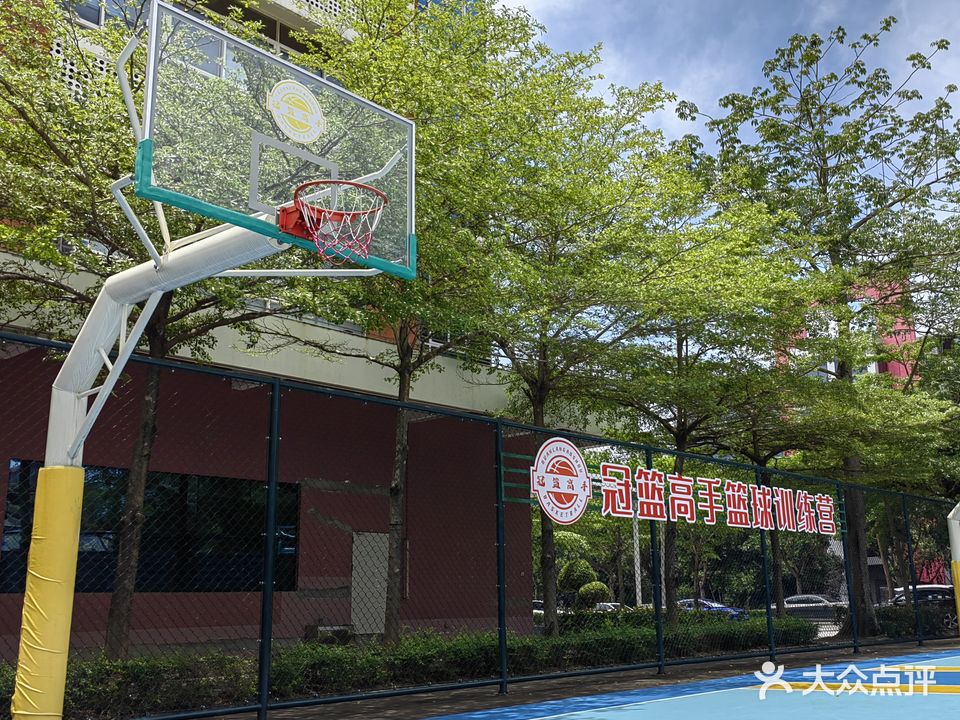 冠篮高手篮球训练营(南软校区)