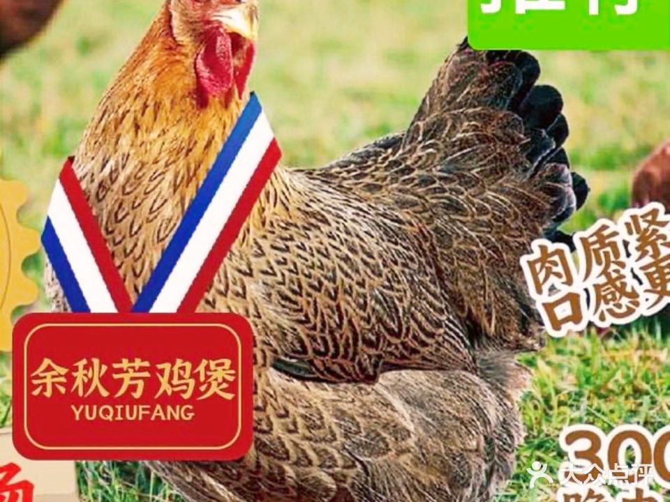 余秋芳橄榄鸡煲(九洲大道中店)