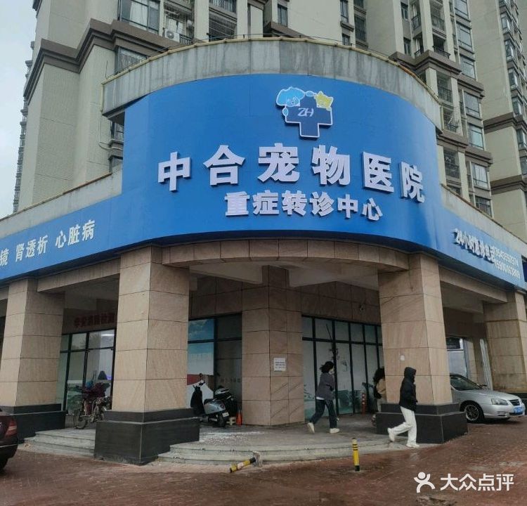 中合宠物医院