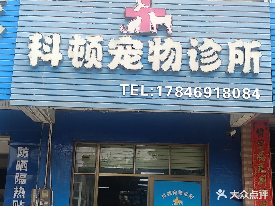 科顿宠物诊所