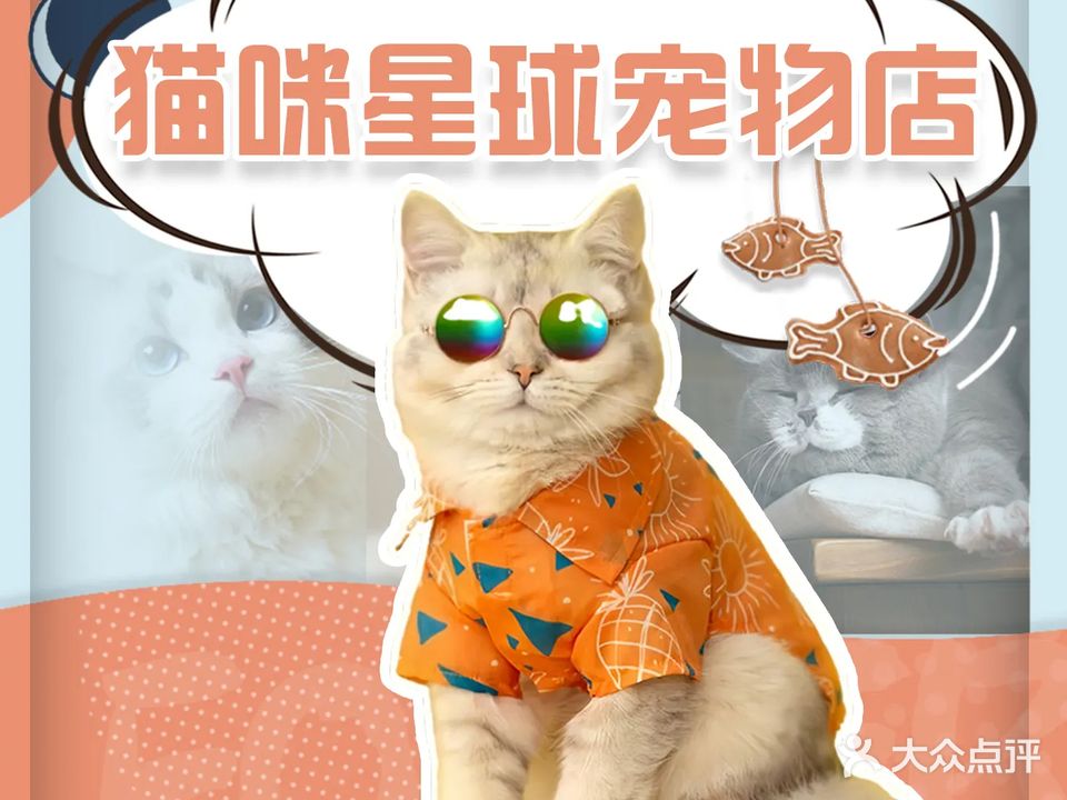 猫咪星球宠物店