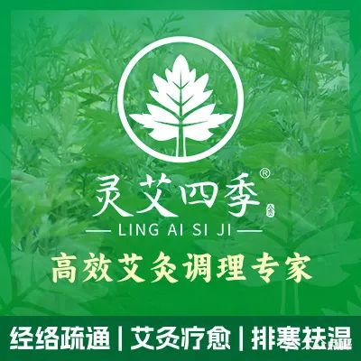 四季春艾灸馆(龙英路北一巷社光下大厦店)