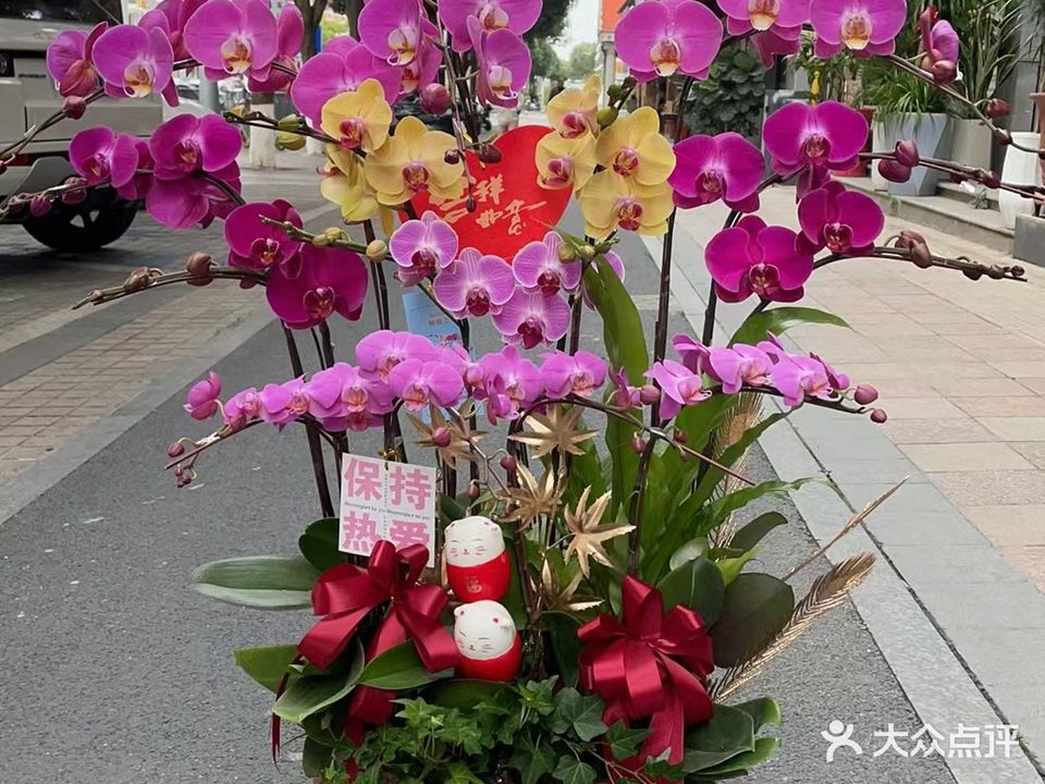 七七A花艺·玫瑰花·生日鲜花礼物·绿植盆栽(集美店)