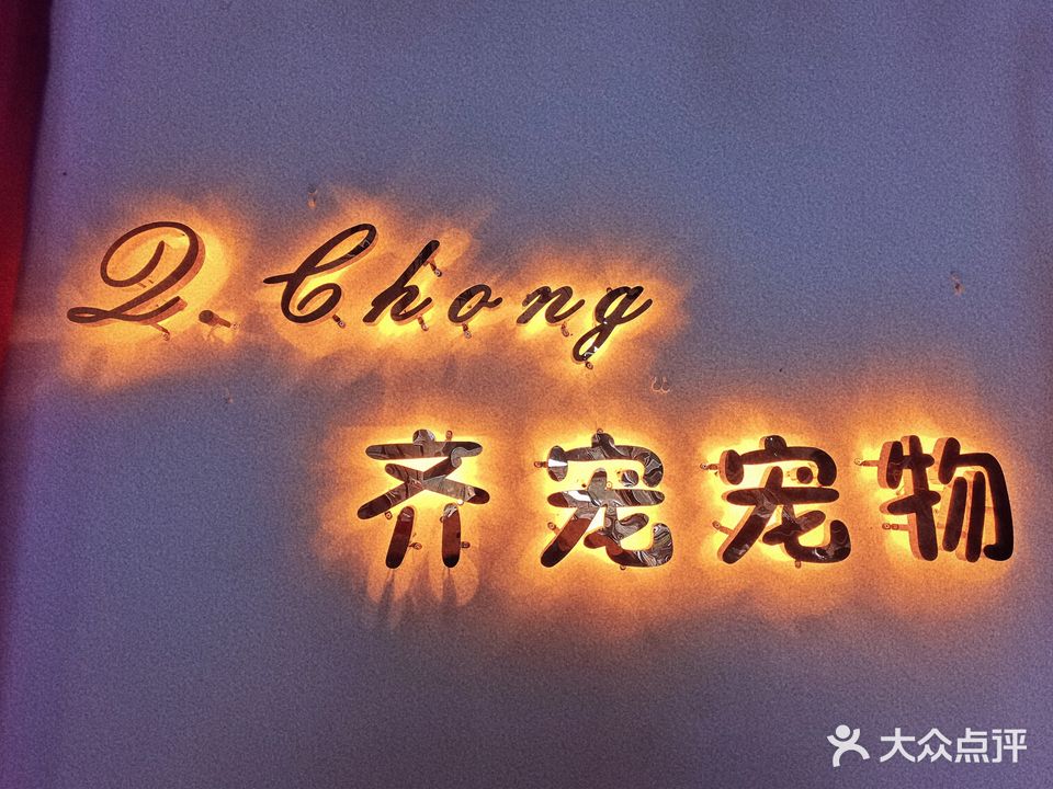 齐宠宠物猫咪精致洗护