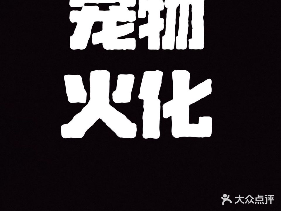 莱莱宠物生活馆