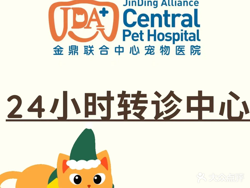 金鼎联合宠物医院·骨科·猫科