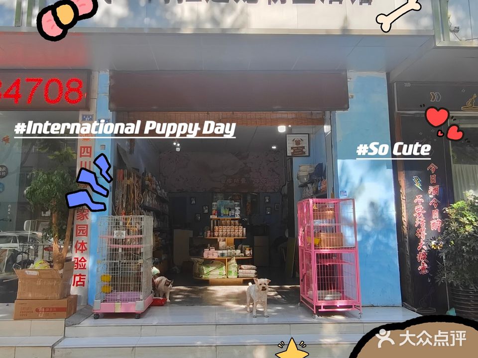 阿拉达宠物生活馆(航天路小区东区店)