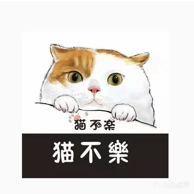猫不乐宠物店