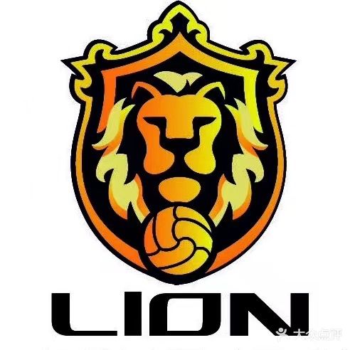 莱恩足球7号球场