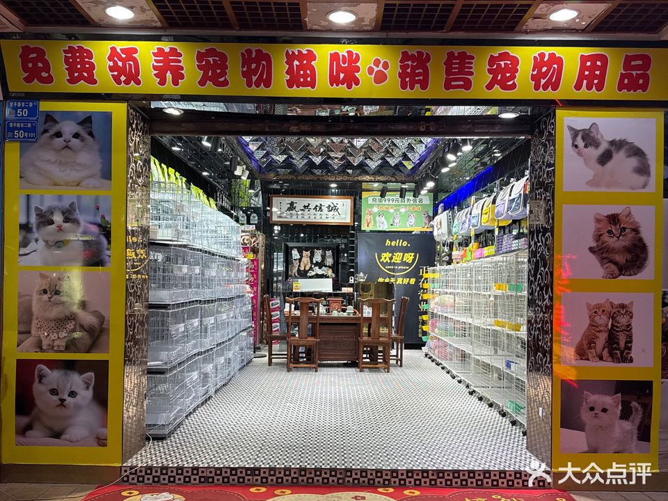 六六宠物店(常平分店)