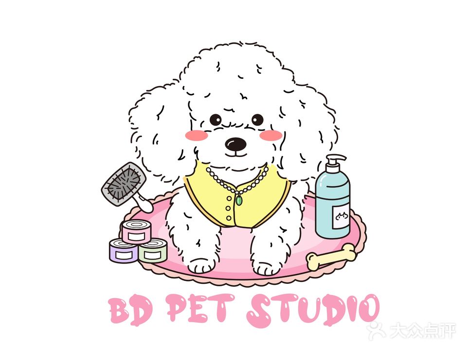BD宠物工作室