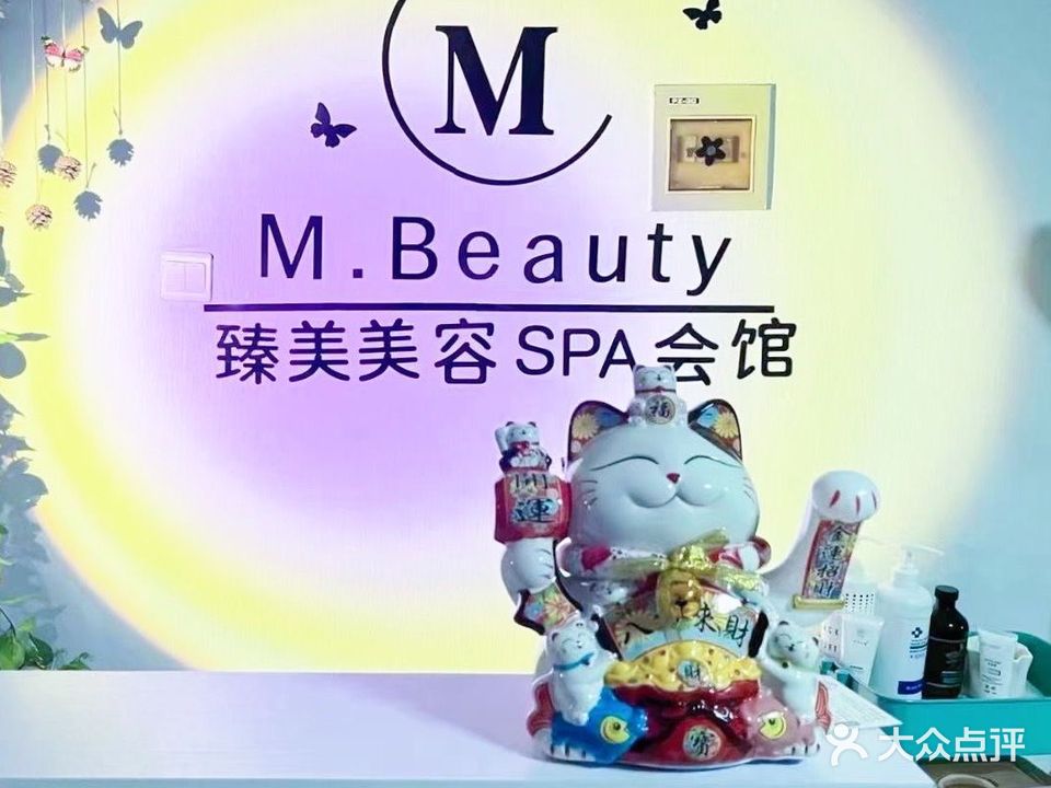 臻美美容SPA会馆(凌水家园店)