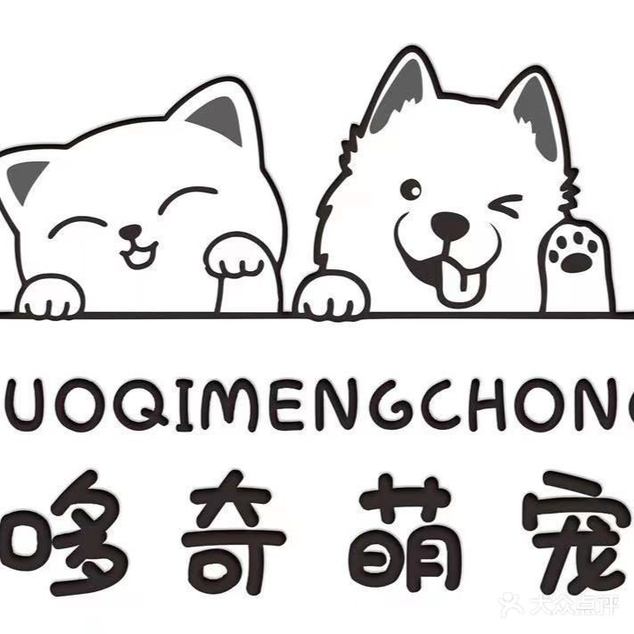 哆奇萌宠·猫咖·互动体验馆