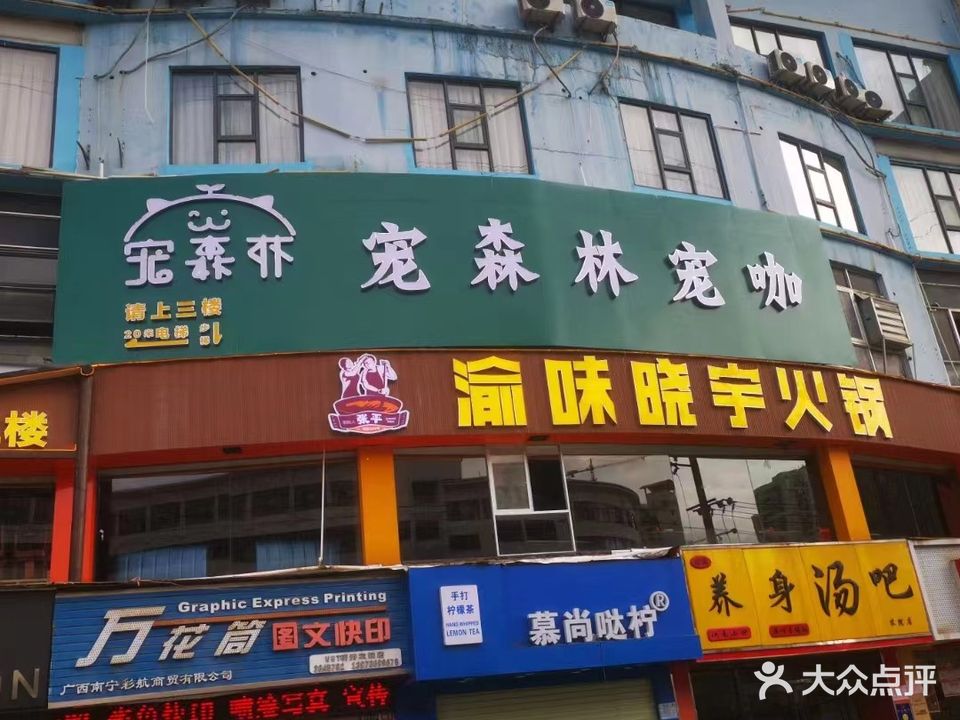 宠森林·猫咖·狗咖·柯基·羊驼·兔·龙猫·猪·柯尔鸭·意大利面·咖啡